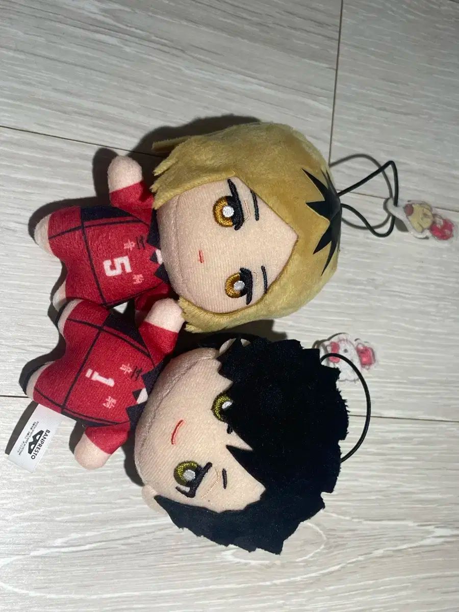 ハイキュー 音駒高校 黒尾 孤爪 研磨 サンリオ コラボ ぬい