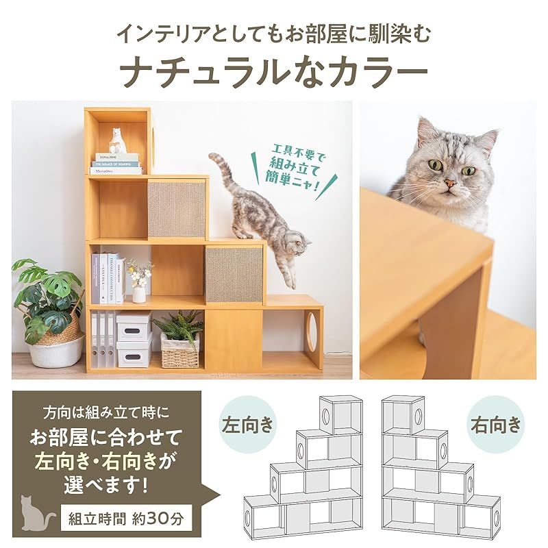 猫 家具