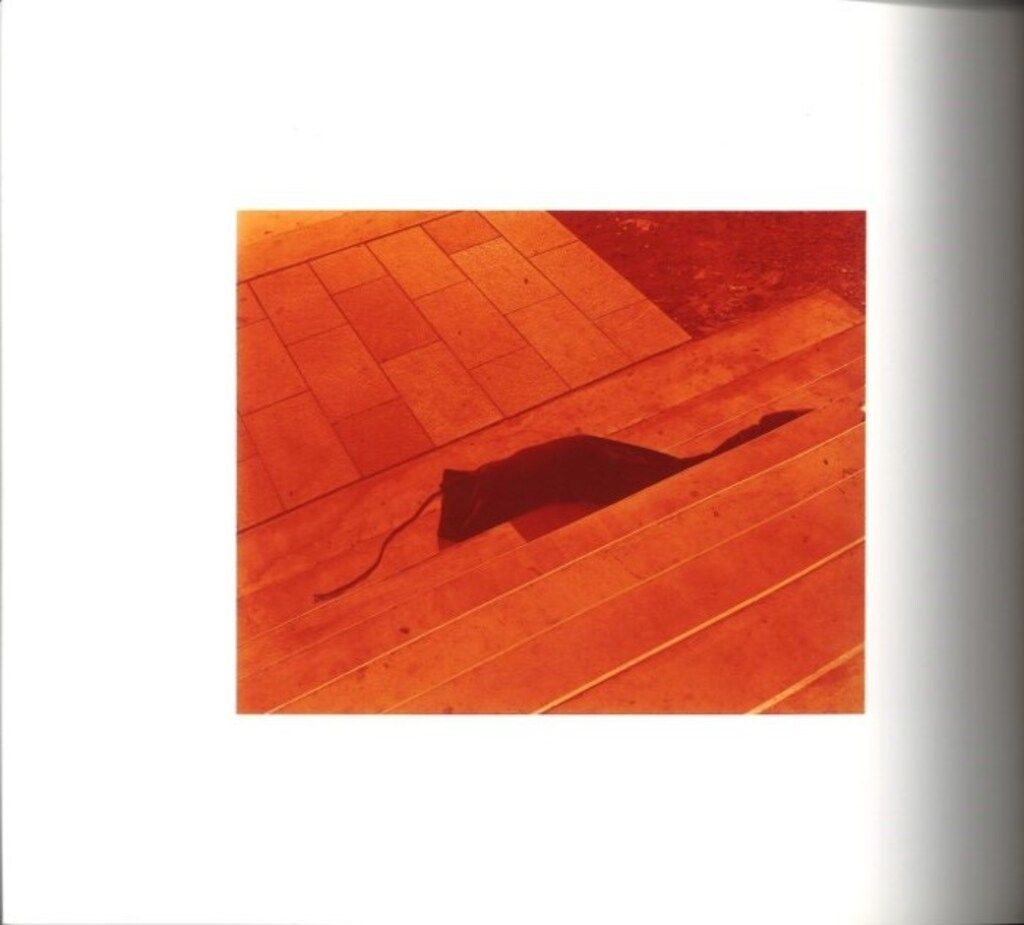 佐内正史 Trouble In Mind(対照レーベル版) Trouble 佐内正史 Mind 対照レーベル版 署名 写真集