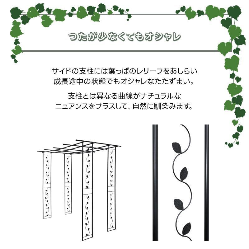 Out フルーツ