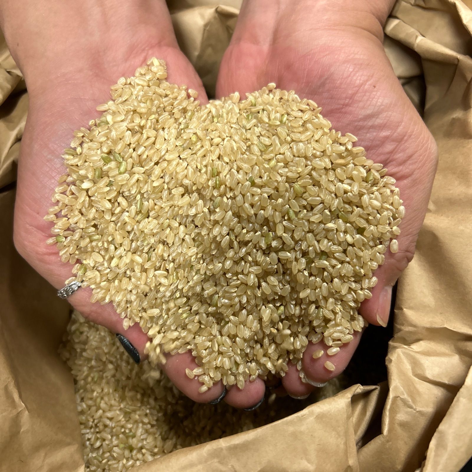 新潟県胎内市産コシヒカリ玄米30kg