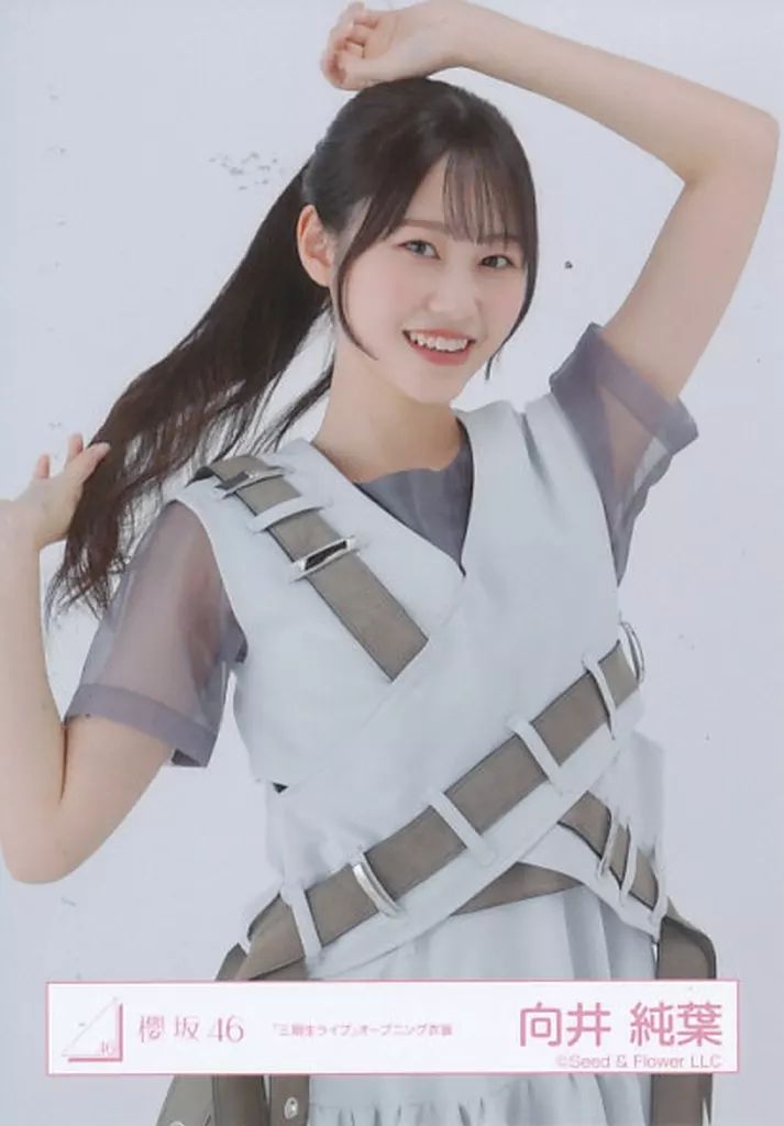 櫻坂46 向井純葉　生写真 向井純葉 櫻坂46 UDAGAWA GENERATION 生写真 コンプ - メルカリ