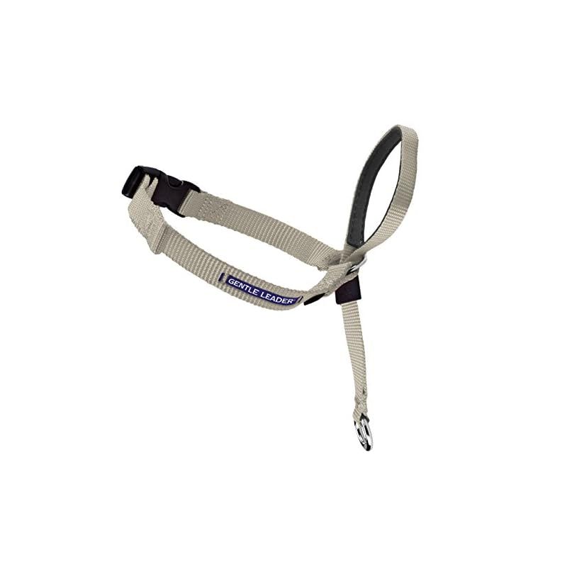 Meinl カホン CAJIEB-M 専用バッグ付き 値下げしました