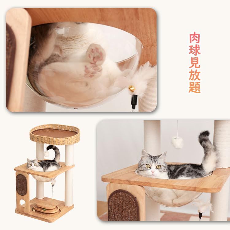 回転ボール