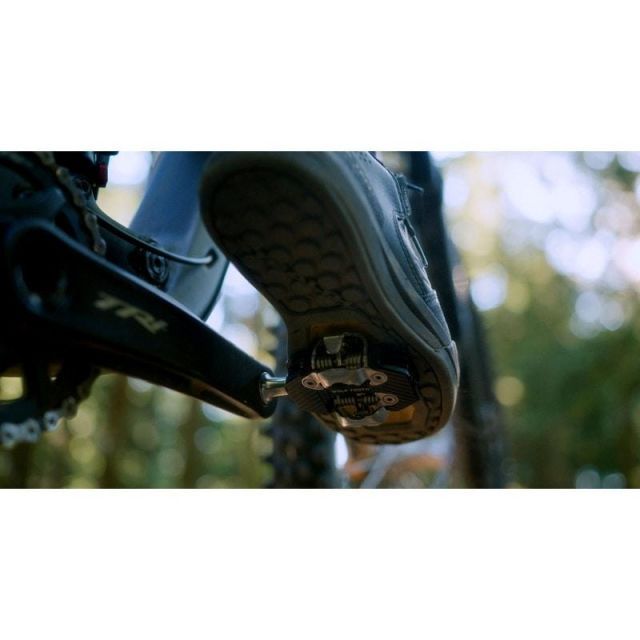 TOOTH ウルフトゥース