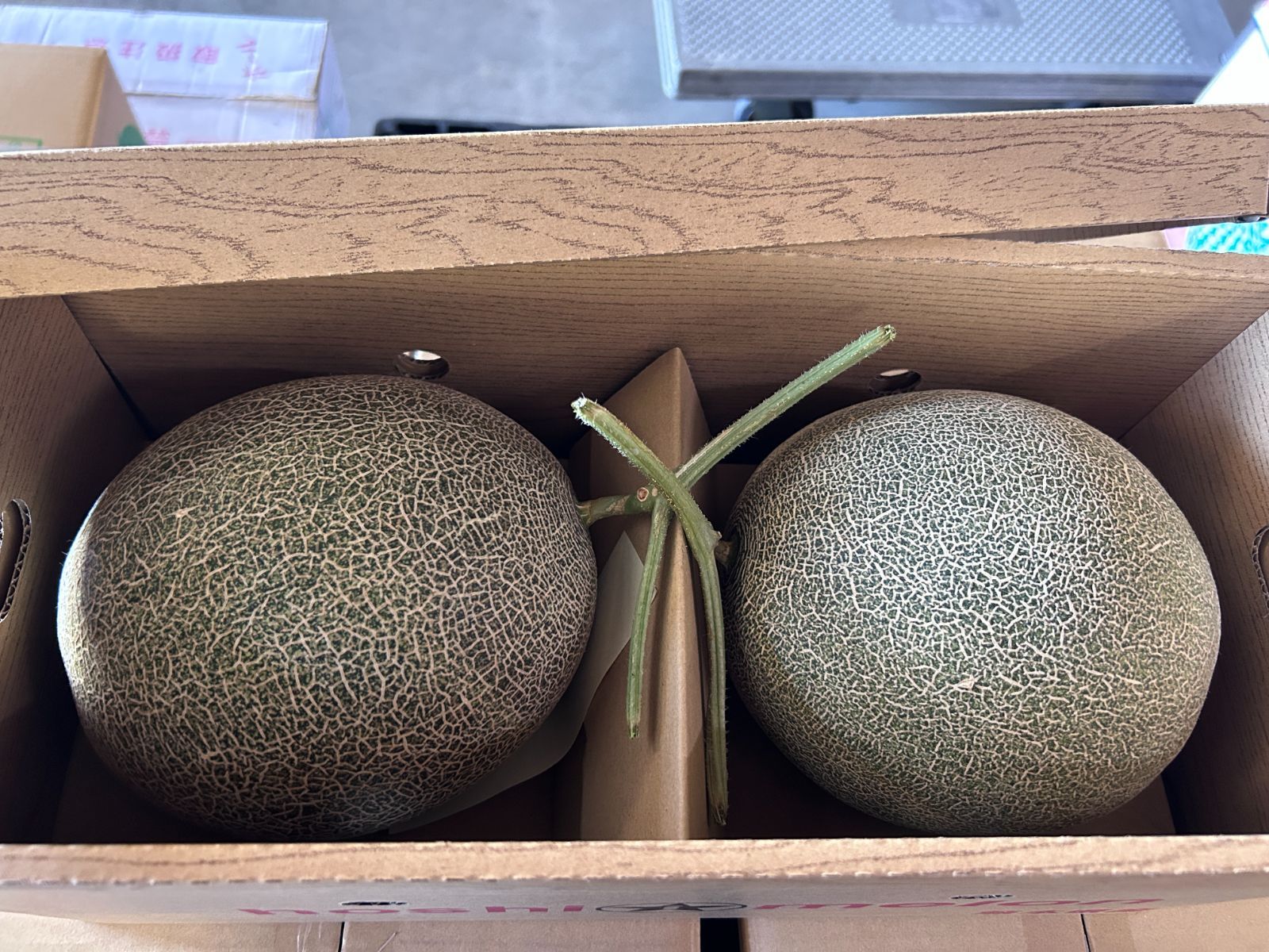肥後グリーン メロン 贈答 お買い得 2個 （1玉約2.5Kg）クール