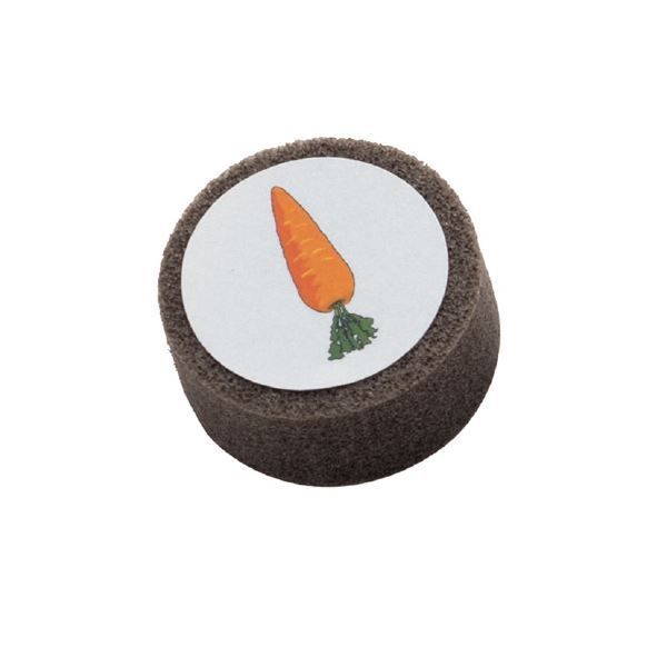 まとめ ゼネラル 脳トレボードゲーム 花 野菜 果物 ×2セット