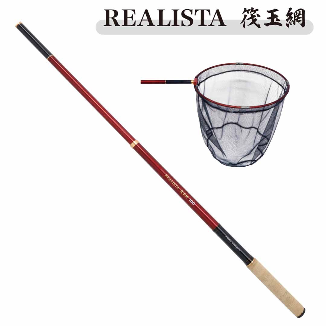 レインボーウニ13点、タコノマクラ棘残し標本1点 さくらんぼ様おまとめ品