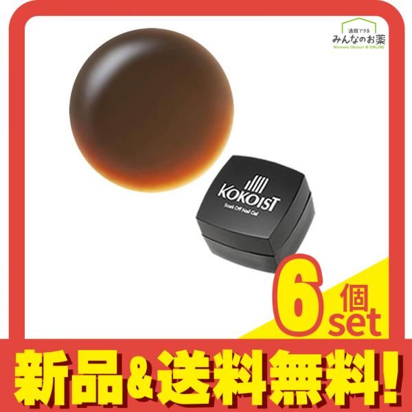 KOKOIST(ココイスト) カラージェル E-240S マーロンブラウングラス 2.5g 6個セット まとめ売り