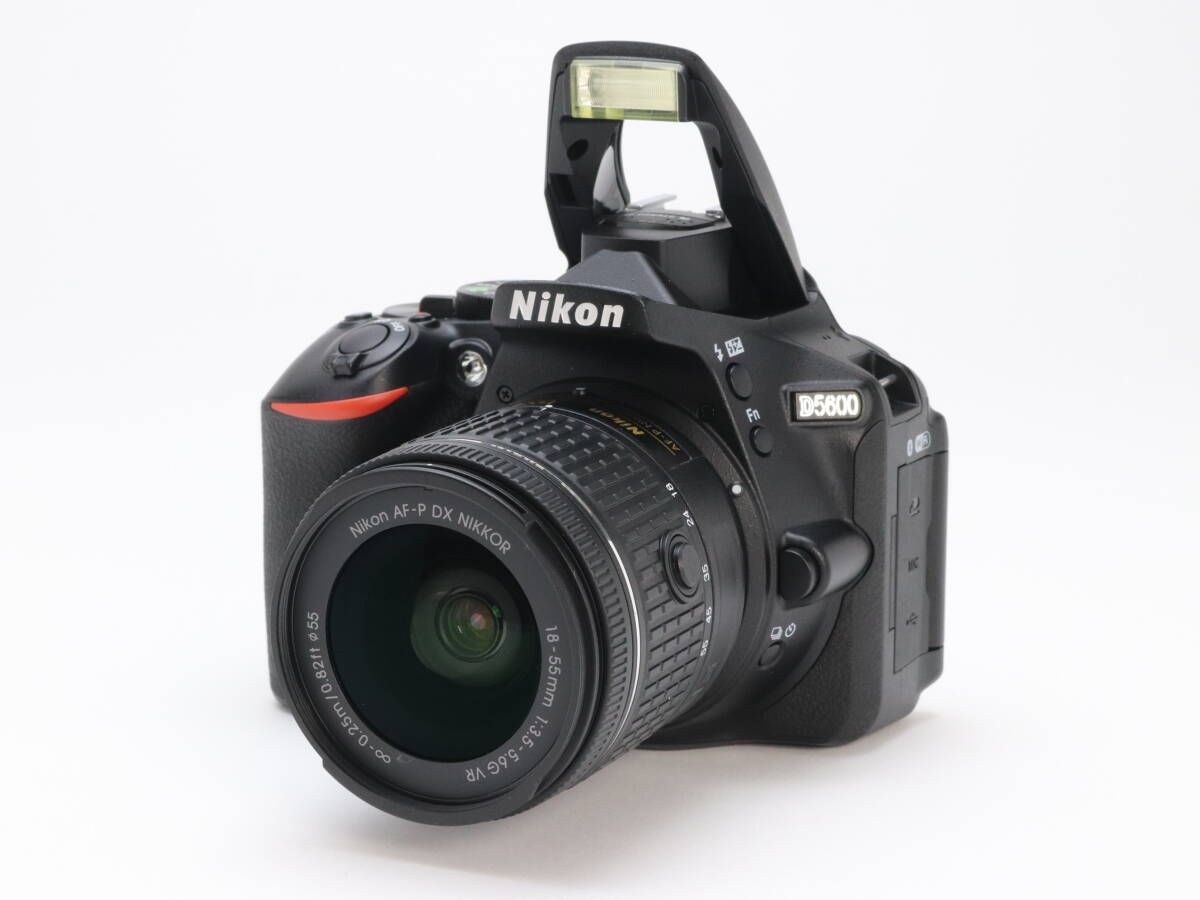 Nikon d5600 AF-P NIKKOR18-55mm f3.5-5.6G 【公式通販】