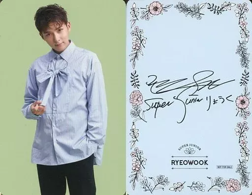 Ryeowook - Bom Voyage Fanmeeting photocard photocard