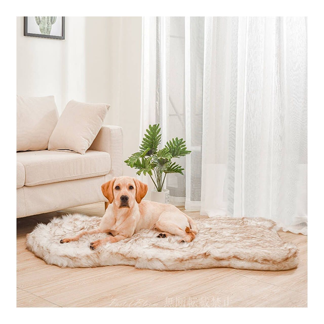 犬用品
