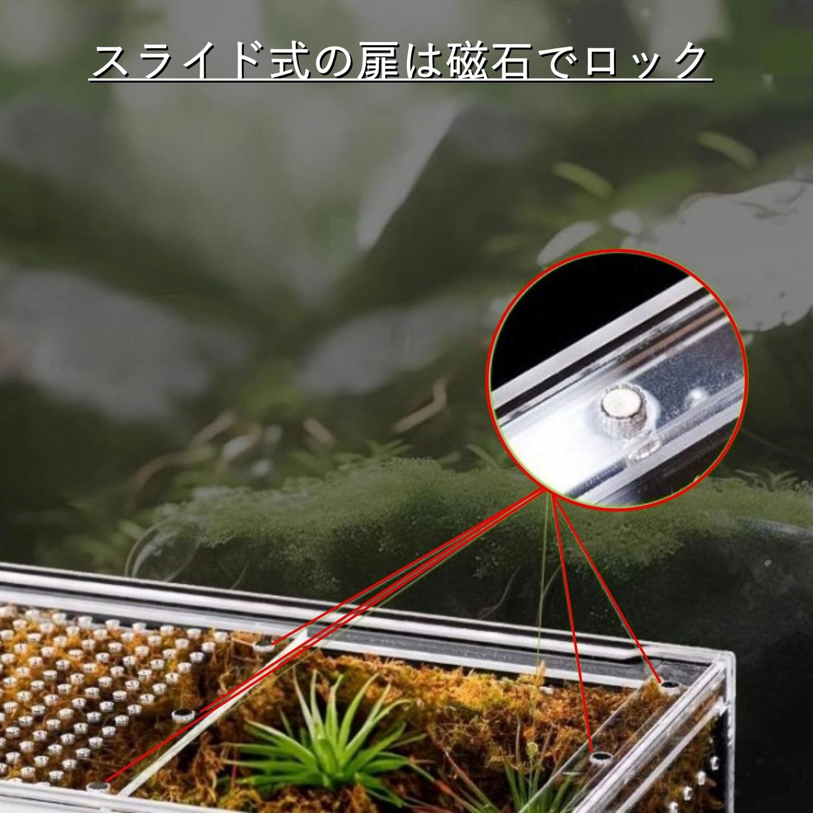 COZENTA 爬虫類 ケージ シェルター アクリル製 トカゲ 蛇 サソリ 飼育
