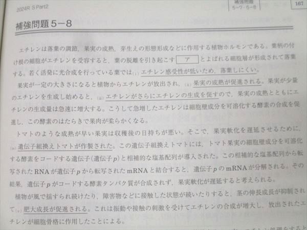 駿台 生物S Part1/2 テキスト通年セット 2024 計4冊 062M0D 駿台 生物S Part1/2 テキスト通年セット 2024 計4冊 062M0D