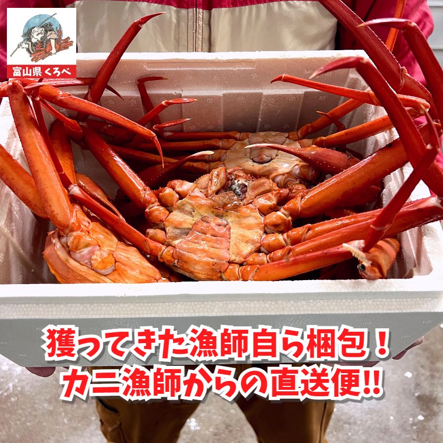 ボイル 紅ズワイガニ
