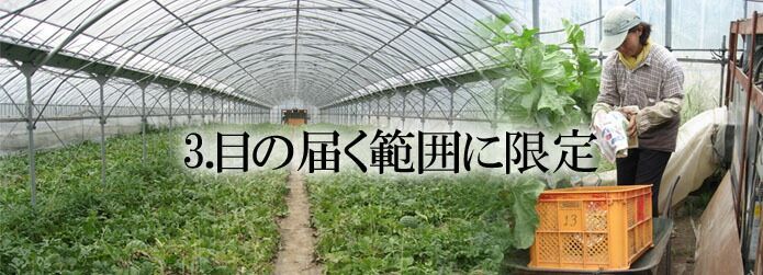 10kg前後