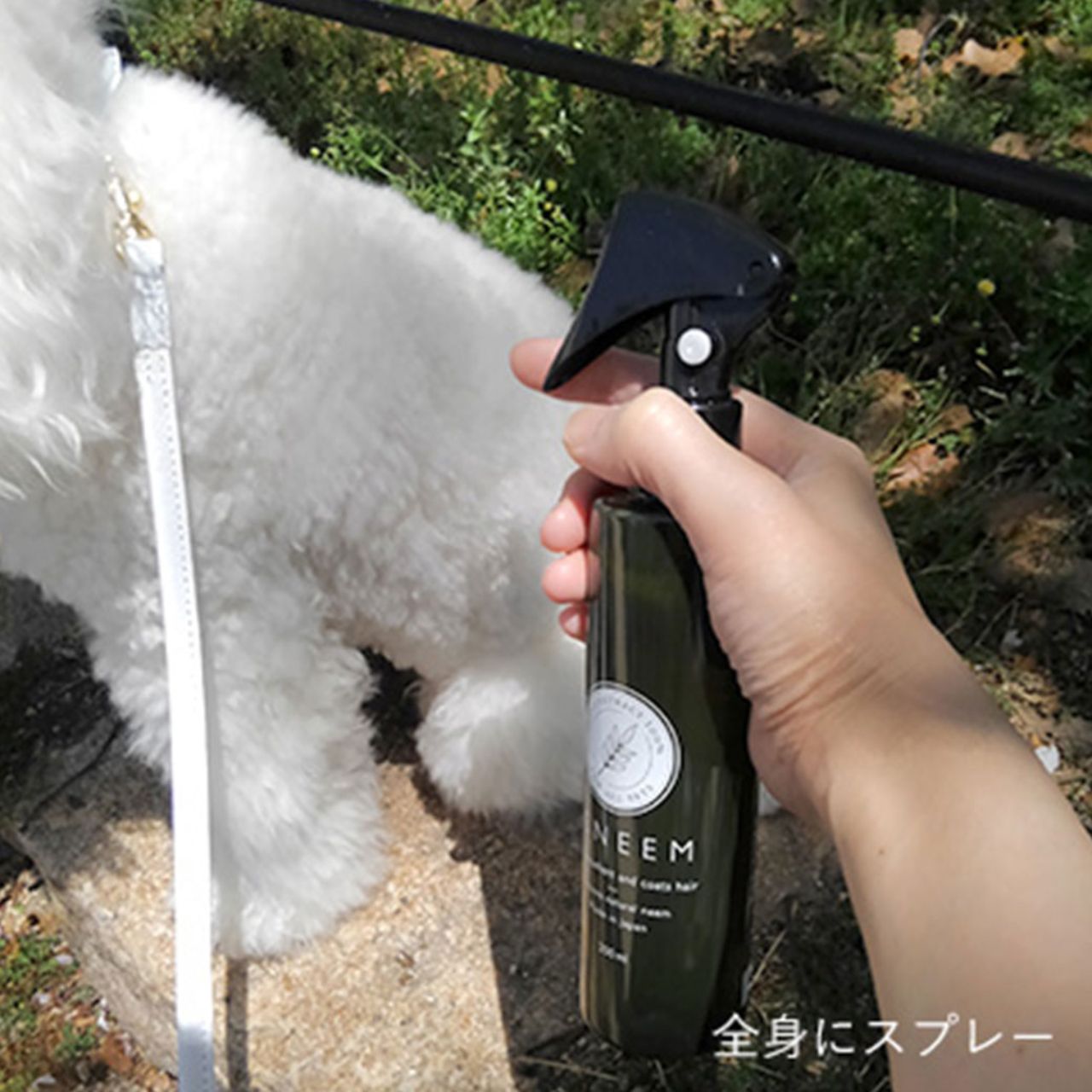 無添加