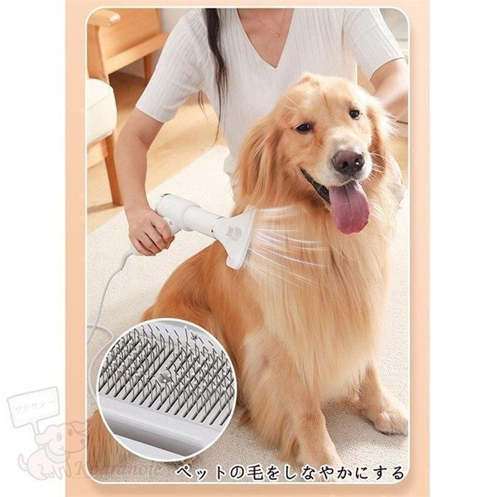 犬ドライヤー風量調節乾かすドライおすすめ快適チワワ小型犬ポメラニアンペット乾燥シャンプー後素早く乾かすペットドライドライヤー