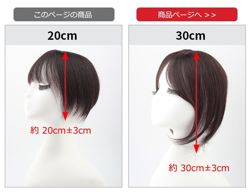 私元気 人毛 部分ウィッグ【20cm】 茶色 ウィッグ ヘアピース 前髪