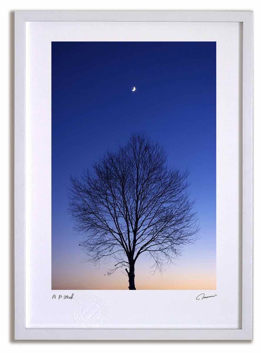 ⭐︎デスク本描き油絵⭐︎模写/F4キャンバス・台付/ゴッホ『アルルの