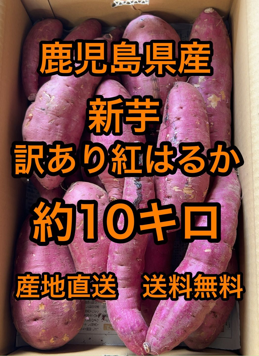 鹿児島県産 新芋 訳あり紅はるか 箱込 約10キロ 【公式通販】
