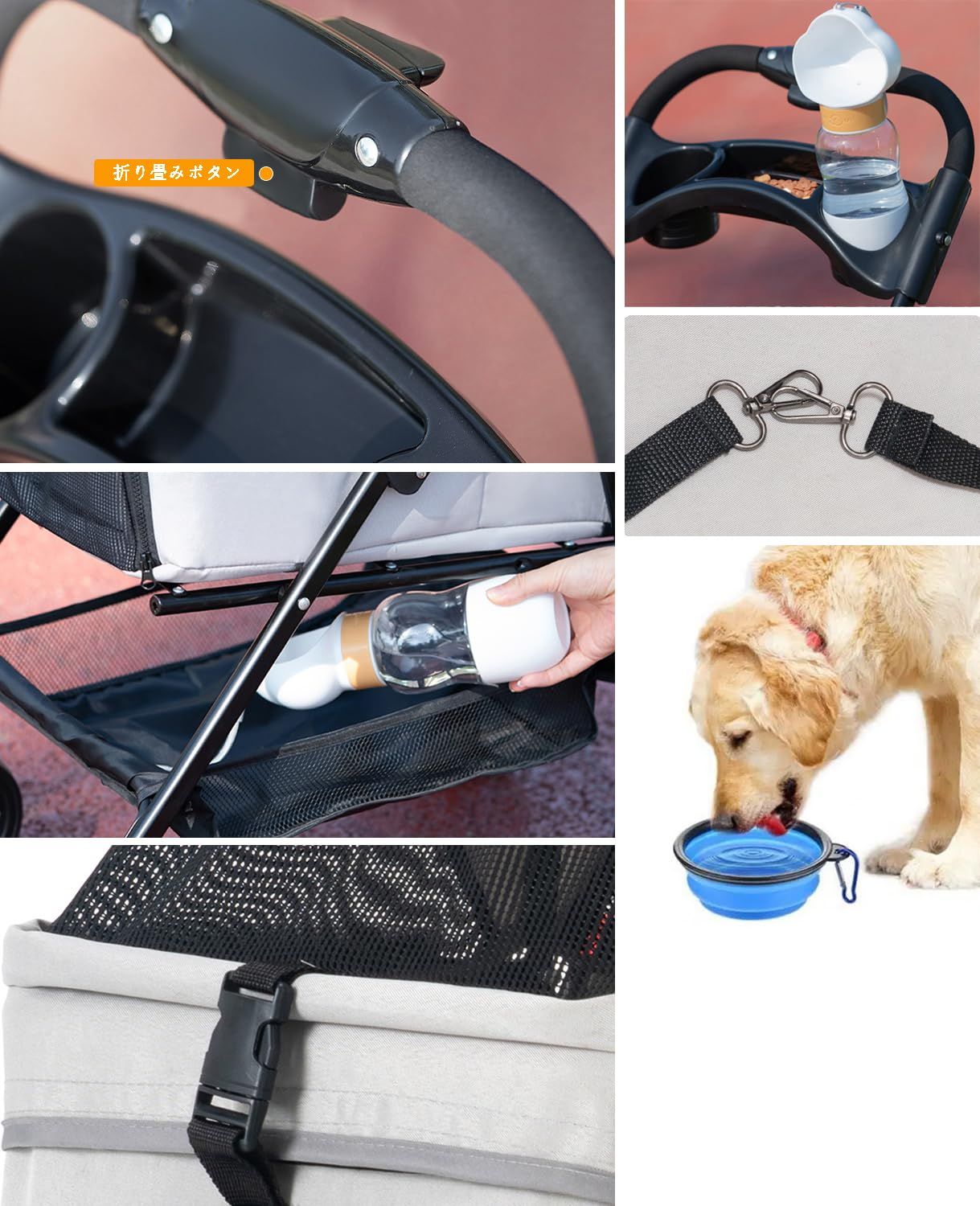 猫 多頭飼い対応