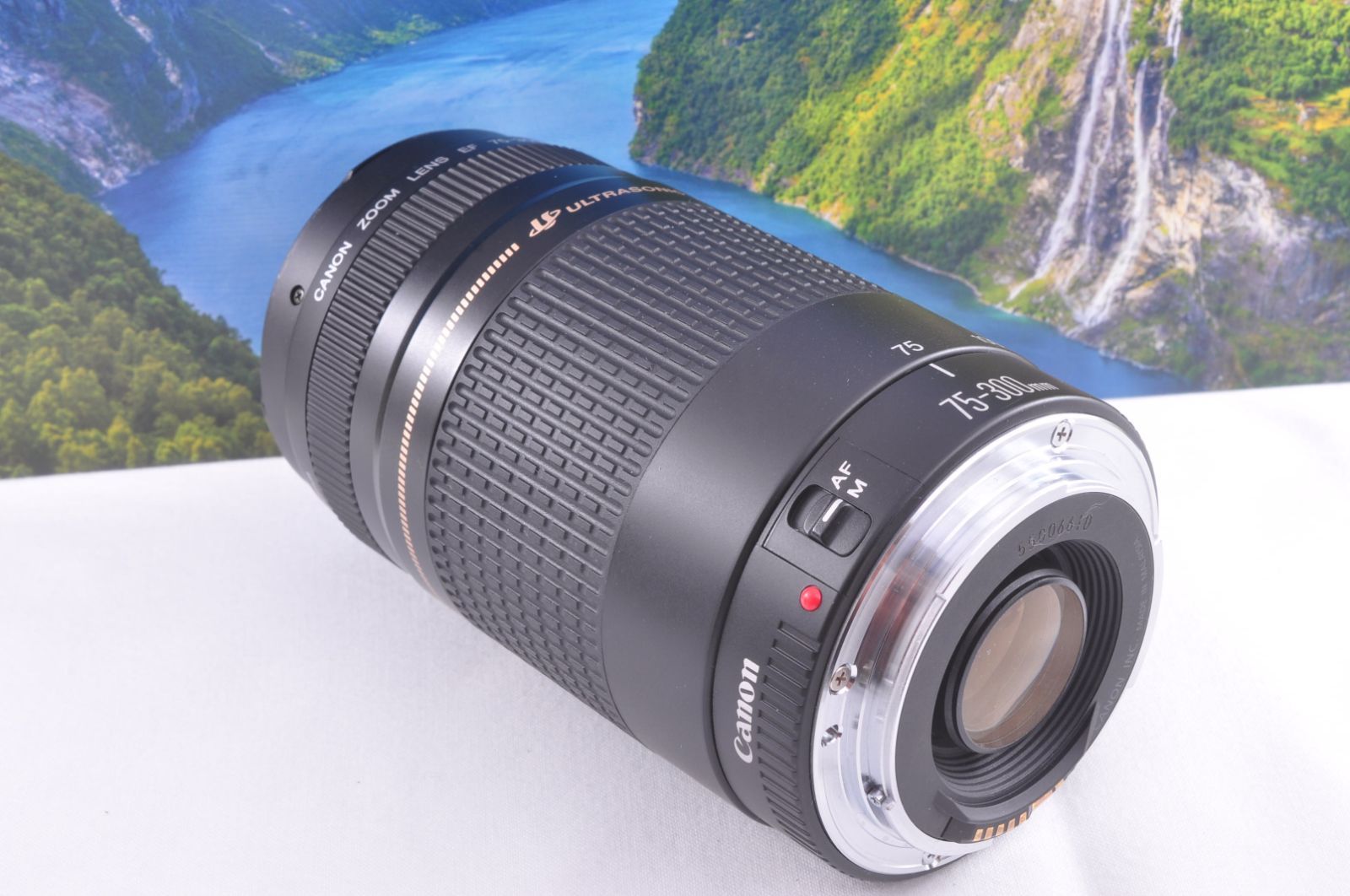  Canon EF 75 300 mm F 4 5 6 望遠ズームレンズ 光学良好 AF快調 向け 野鳥 運動会に最適 EFマウント レンズ(ズーム) カメラ