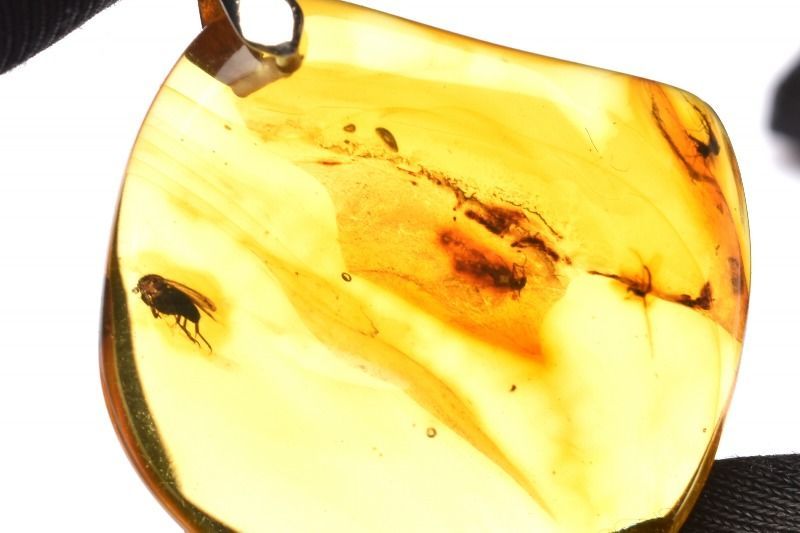 1点物】シルバー925◇ロシア産 虫入り琥珀アンバー 29x29mm
