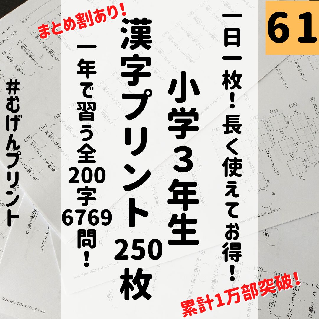 61.小学3年 国語漢字問題250枚 漢検 中学受験 新聞 入試 むげん