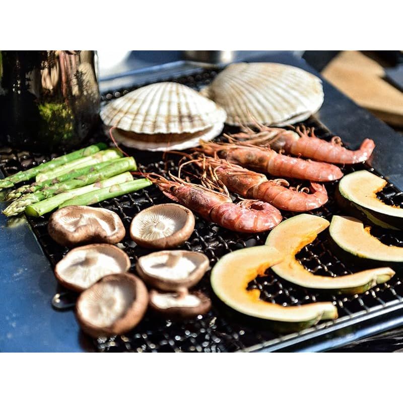 スノーピーク snow peak 焚火台 焼アミ ステンレス ST-033MAR キャンプ アウトドア 1