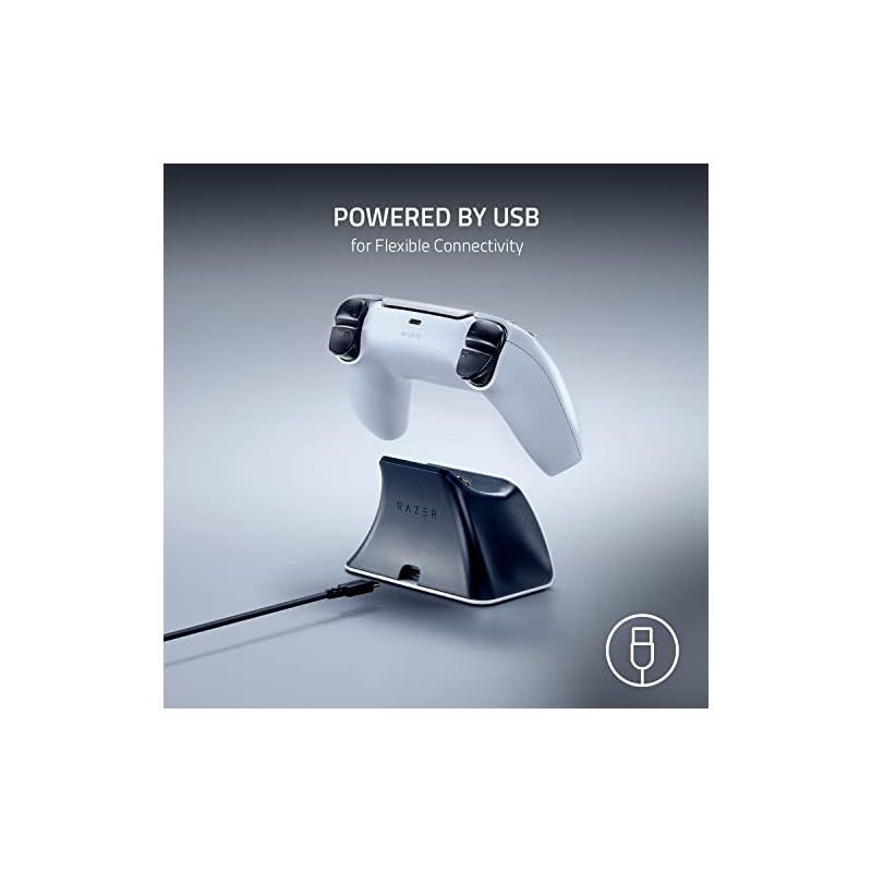 コントローラー別売