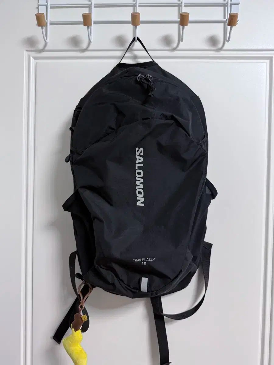 Salomon サロモン トレイルブレイザー 10 バックパック ブラック