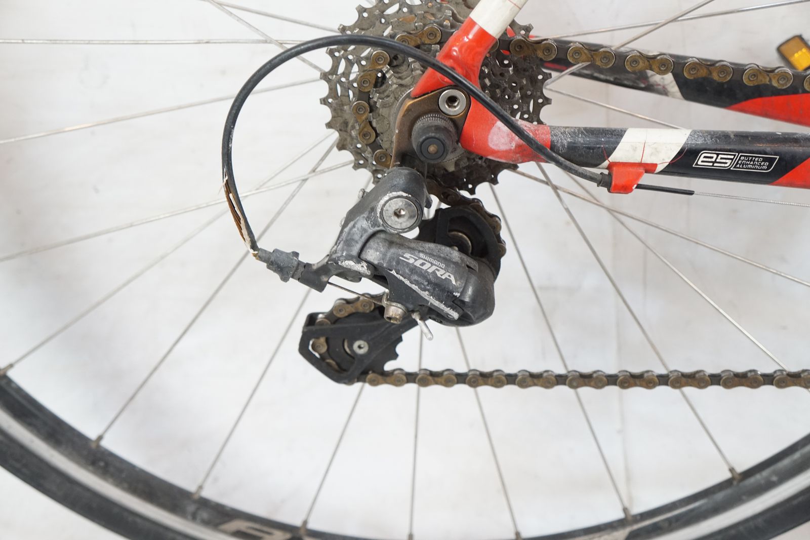 SPECIALIZED