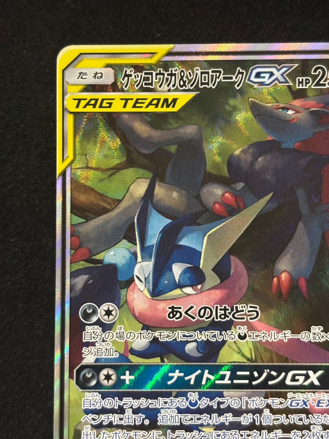 ゲッコウガ＆ゾロアークGX SR SAスペシャルアート ナイトユニゾン