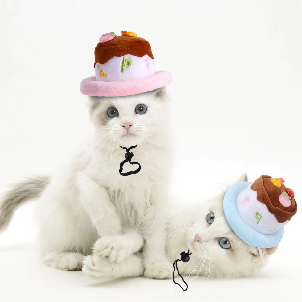 ペット帽子 ハロウィン Halloween ケーキ 即 OK cake 2 誕生日 着ぐるみ 犬猫ハット ペット用コスプレ 着脱簡単 小中型犬 猫 犬 キュート ドッグウェア 面白い 撮影道具 おしゃれ 着せ替え xzzhang631