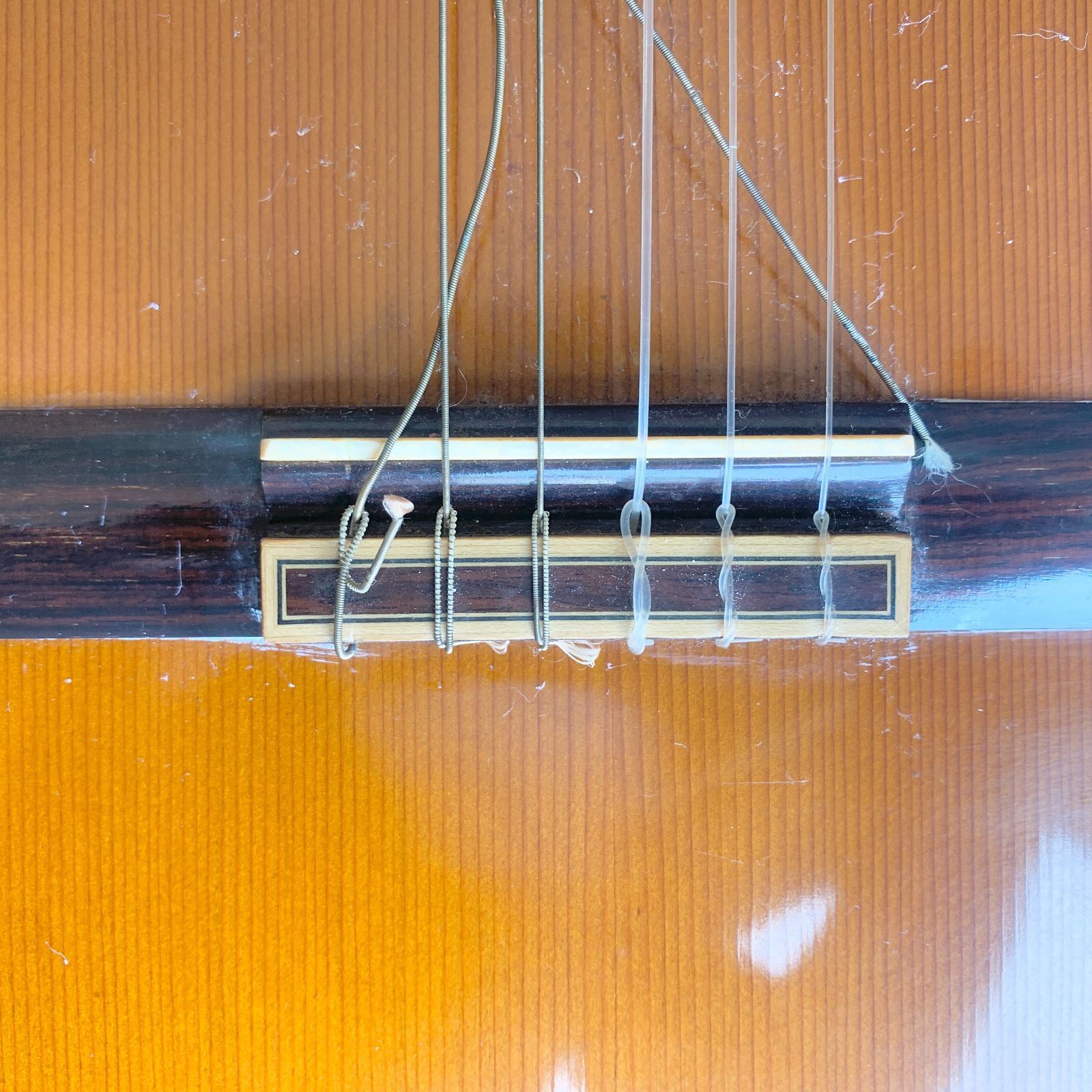 FERNANDES フェルナンデス クラシックギター GC-20 - メルカリ