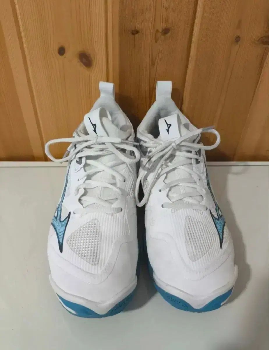 Mizuno WAVE CLAW 3 FIT バドミントンシューズ 25.0cm 25.0cm ウエーブクロー3 新品未使用 ミズノ バドミントン