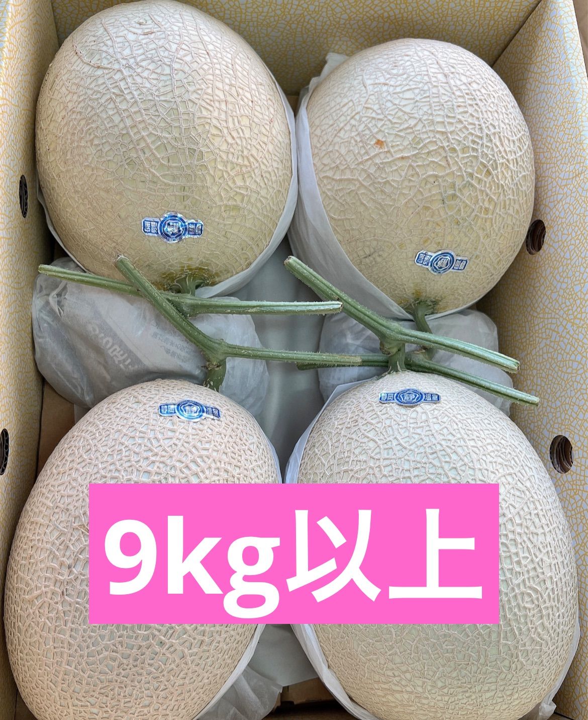 産地直送　静岡の温室マスクメロン　メロン　青肉メロン　アールスメロン 産地直送 静岡の温室マスクメロン メロン 青肉メロン