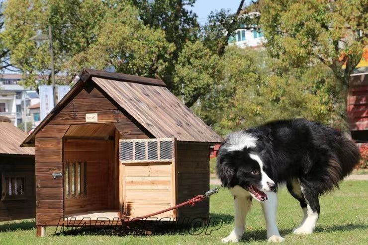大好評 豪華犬別荘 ペットハウス 犬舎 犬小屋 ハウス おうち 屋外 野外 防水 ドア トイレ 通気性 耐磨耗 洗濯時に取り外し