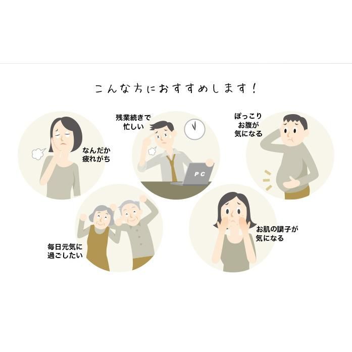 な8本セット