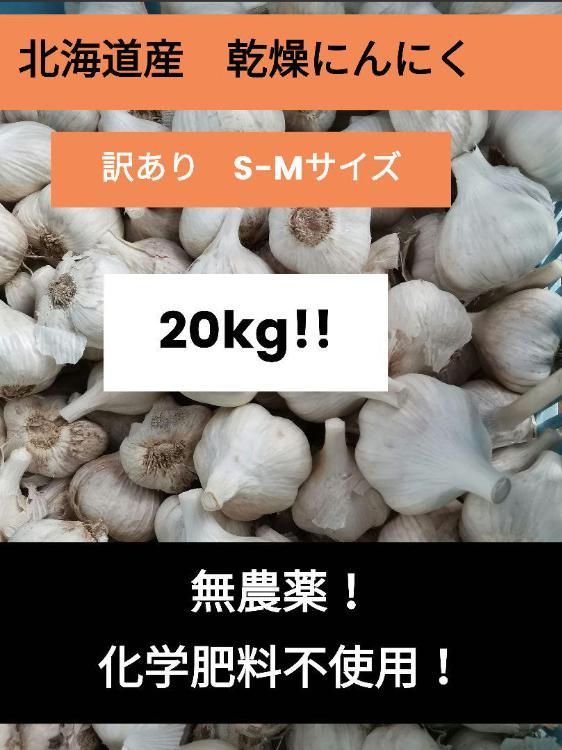 2022年製 新品 乾燥ニンニク 20kg 北海道産【農薬・化学肥料不使用