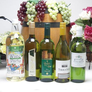飲料・酒 パーティー5本セット 高品質5ヵ国白ワインセット（イタリア