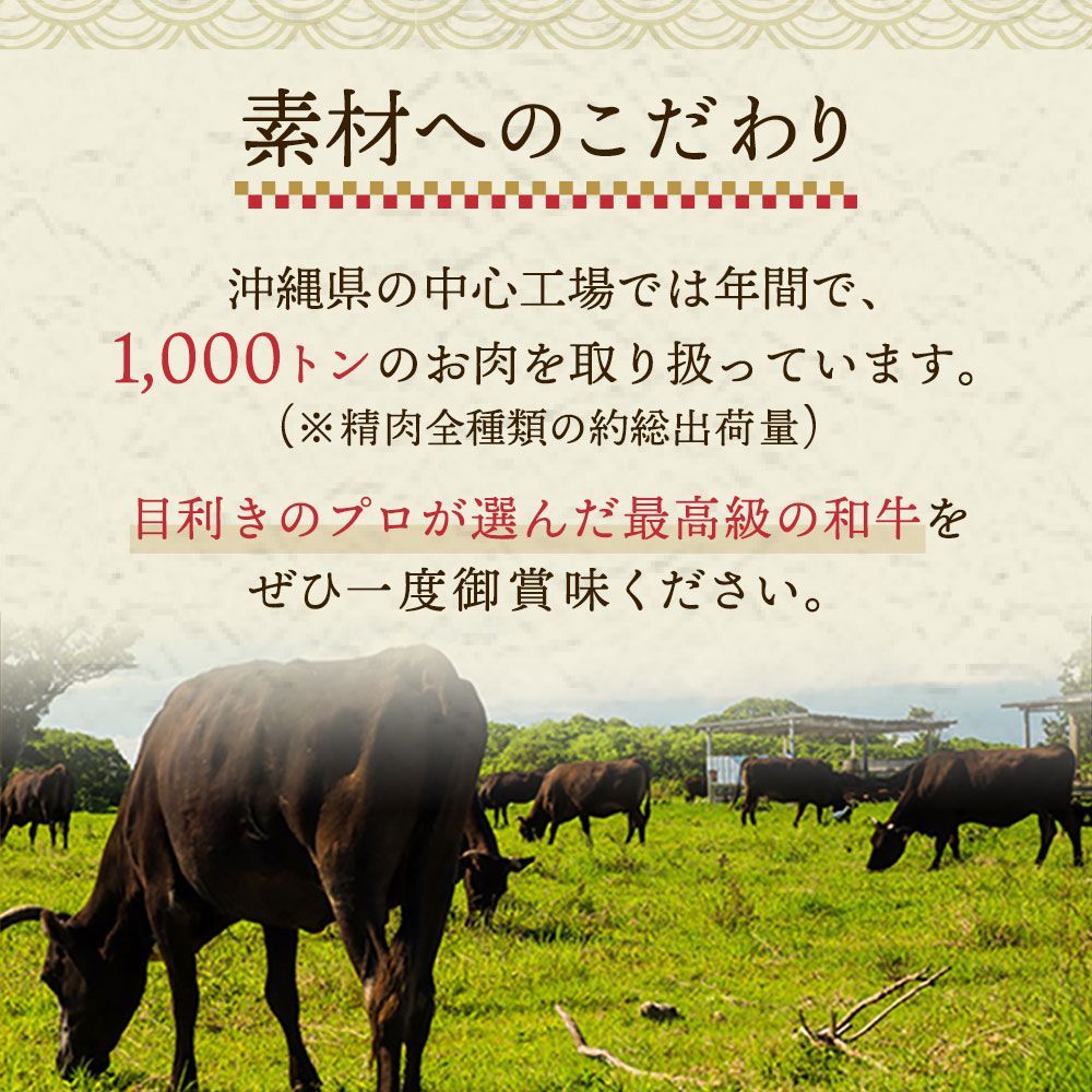 訳あり！沖縄ブランド牛100%ハンバーグ100g 10個セット-4