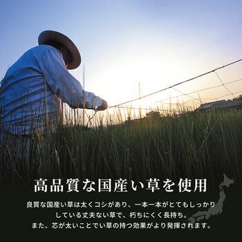 国産い草ラグ カーペット