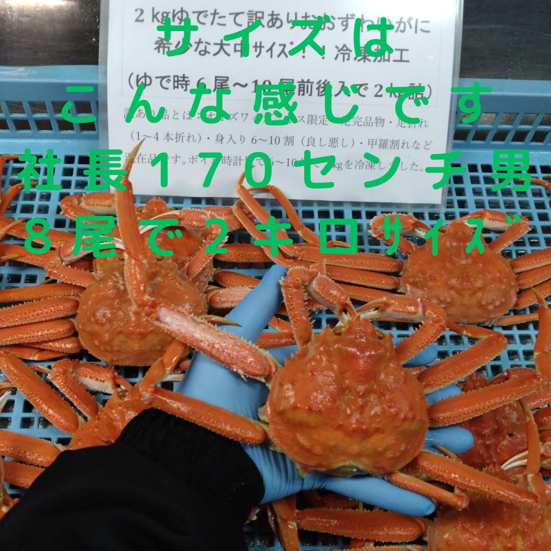 大中サイズ