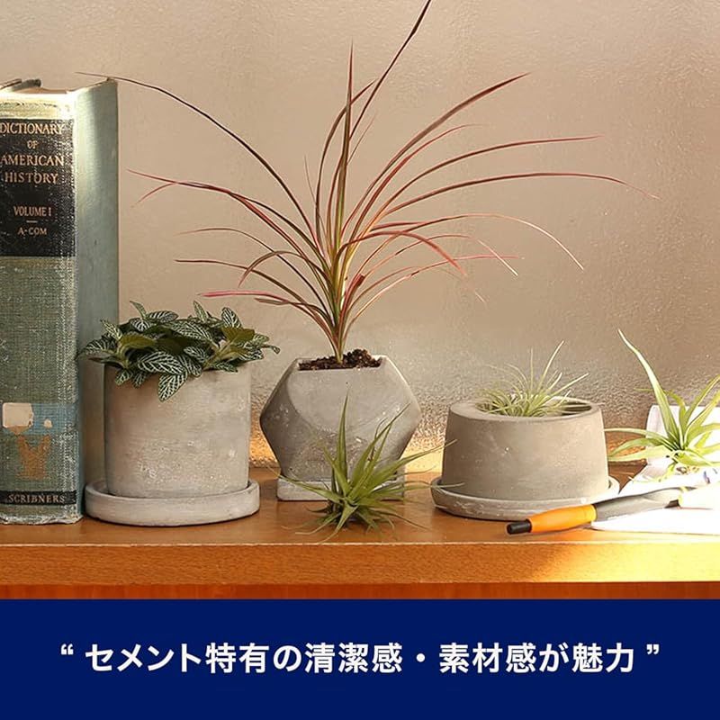 ダルトン(Dulton) プランター セメント ポット Mサイズ 丸形