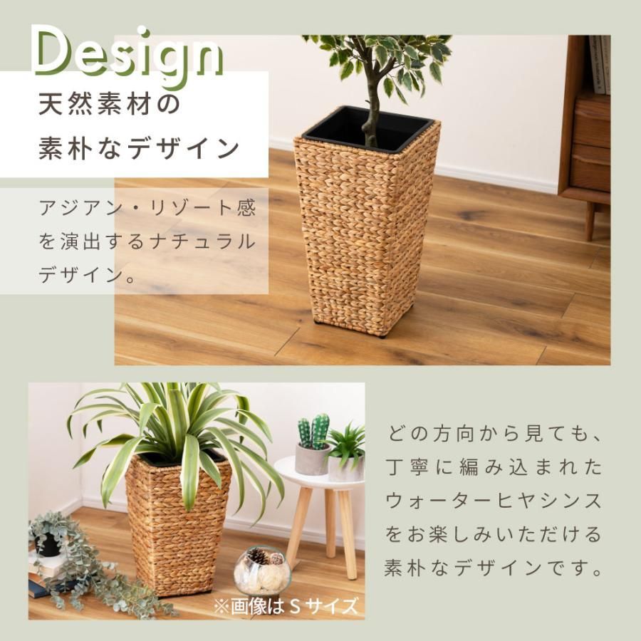 リゾート プランター 4 テーブルヤシ 約200cm 超大型観葉植物 南国
