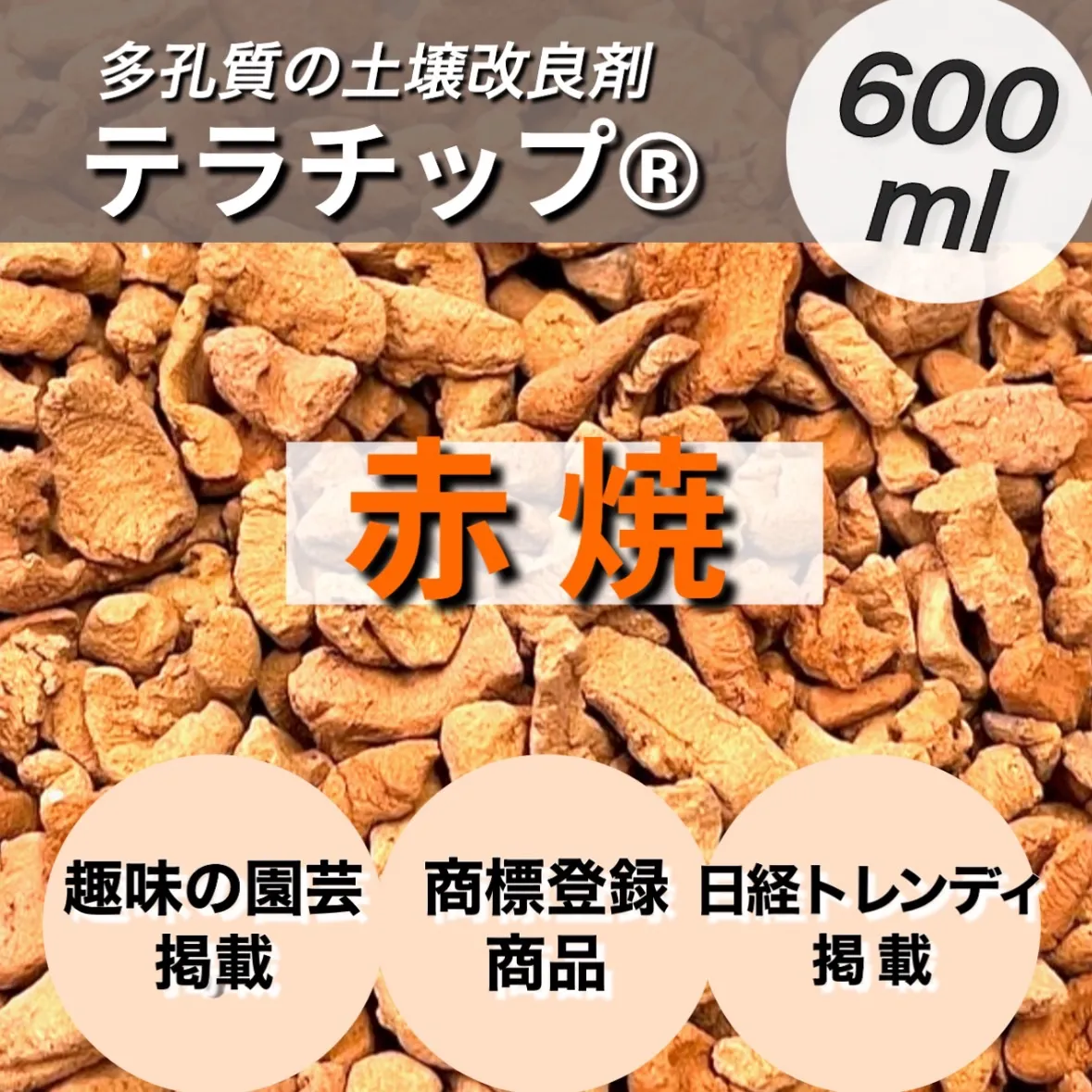 2026年最新】テラチップの人気アイテム - メルカリ