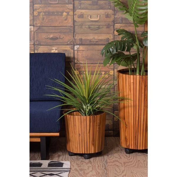 ミニパイナップル