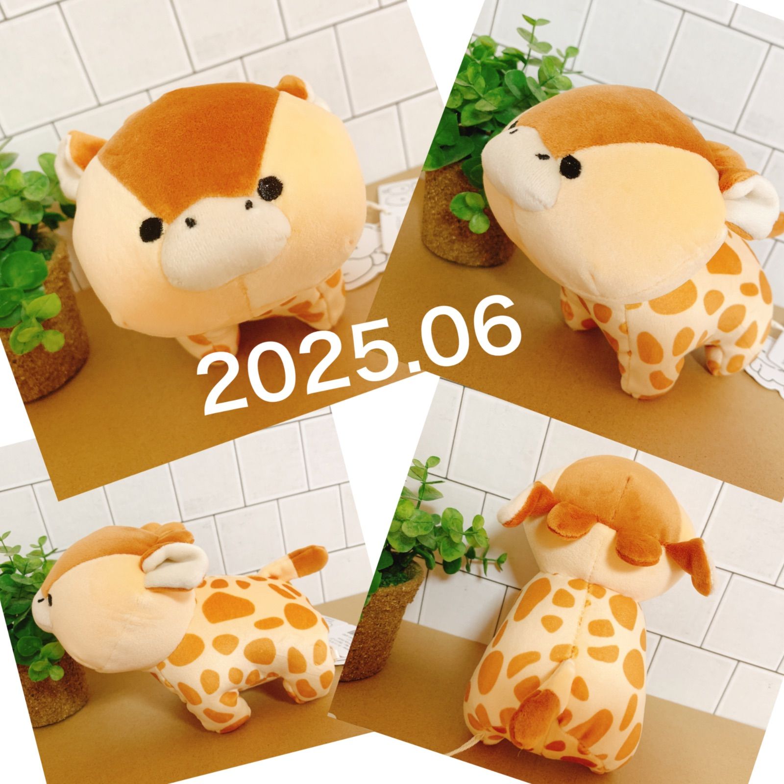 きりん テノリマスコット キリン 可愛い ぬいぐるみ マスコット もふも